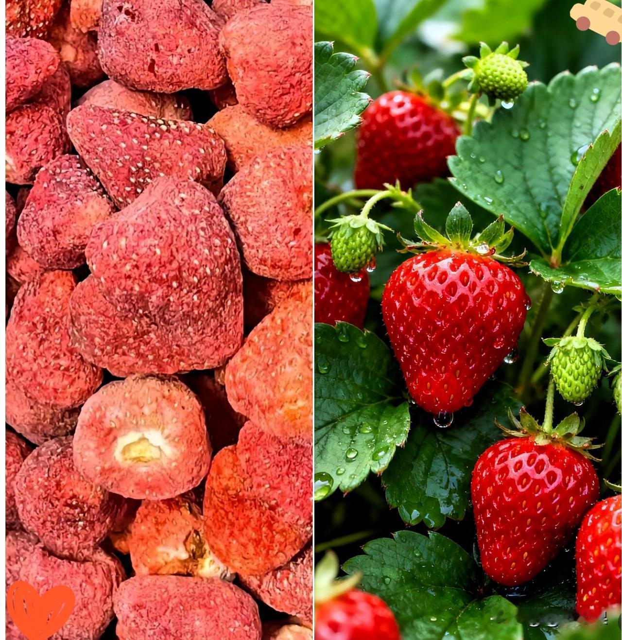 315晚会大家都看了吧，这次曝光的网红冻干草莓，彻底刷新认知，本是老少皆宜的健康