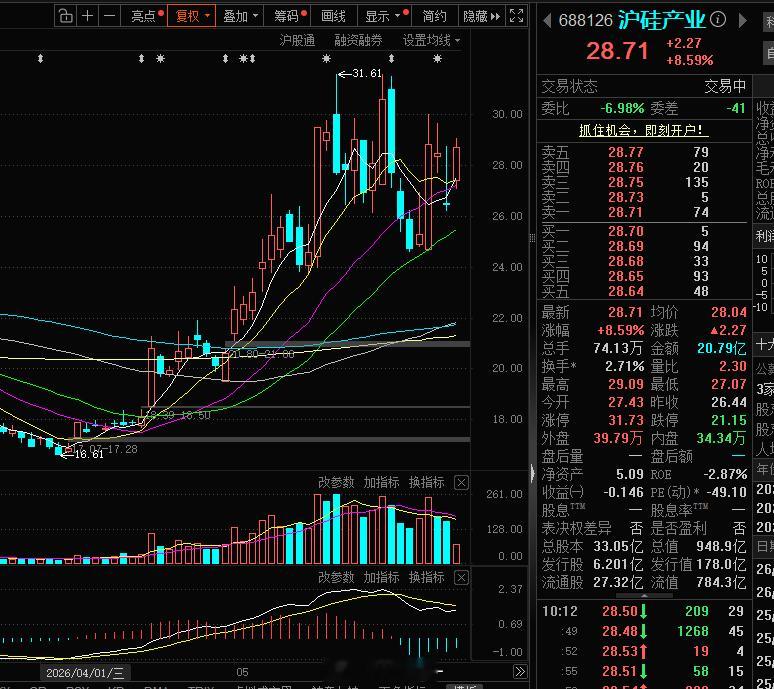 我的紫苏叶，沪硅！ 