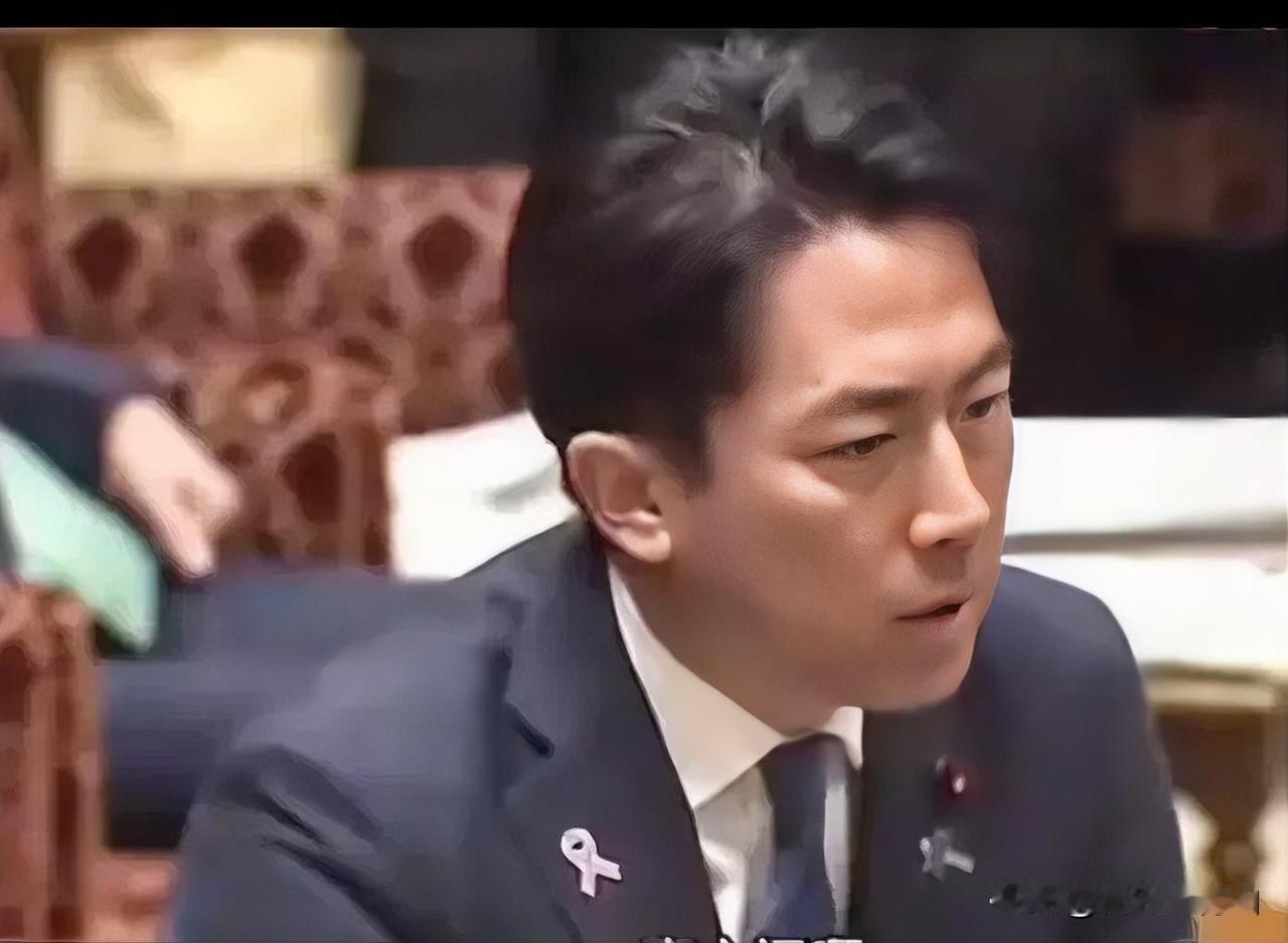 小泉进次郎：“我们不能坐以待毙，我们要主动进攻。”
 
这句看似强硬的表态，出自