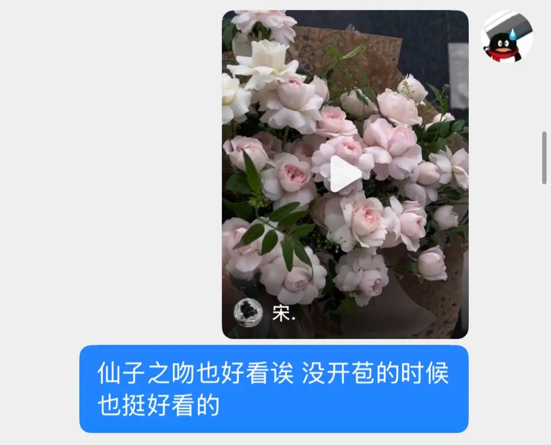 幸福就是前脚刚分享的花后脚就能收到