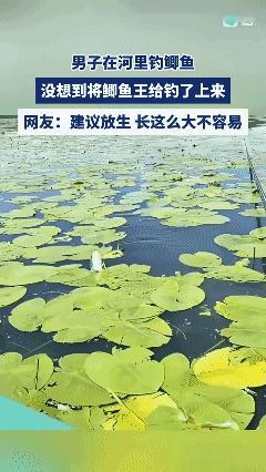 建议放了
野生的长这么大不容易啊[泣不成声]