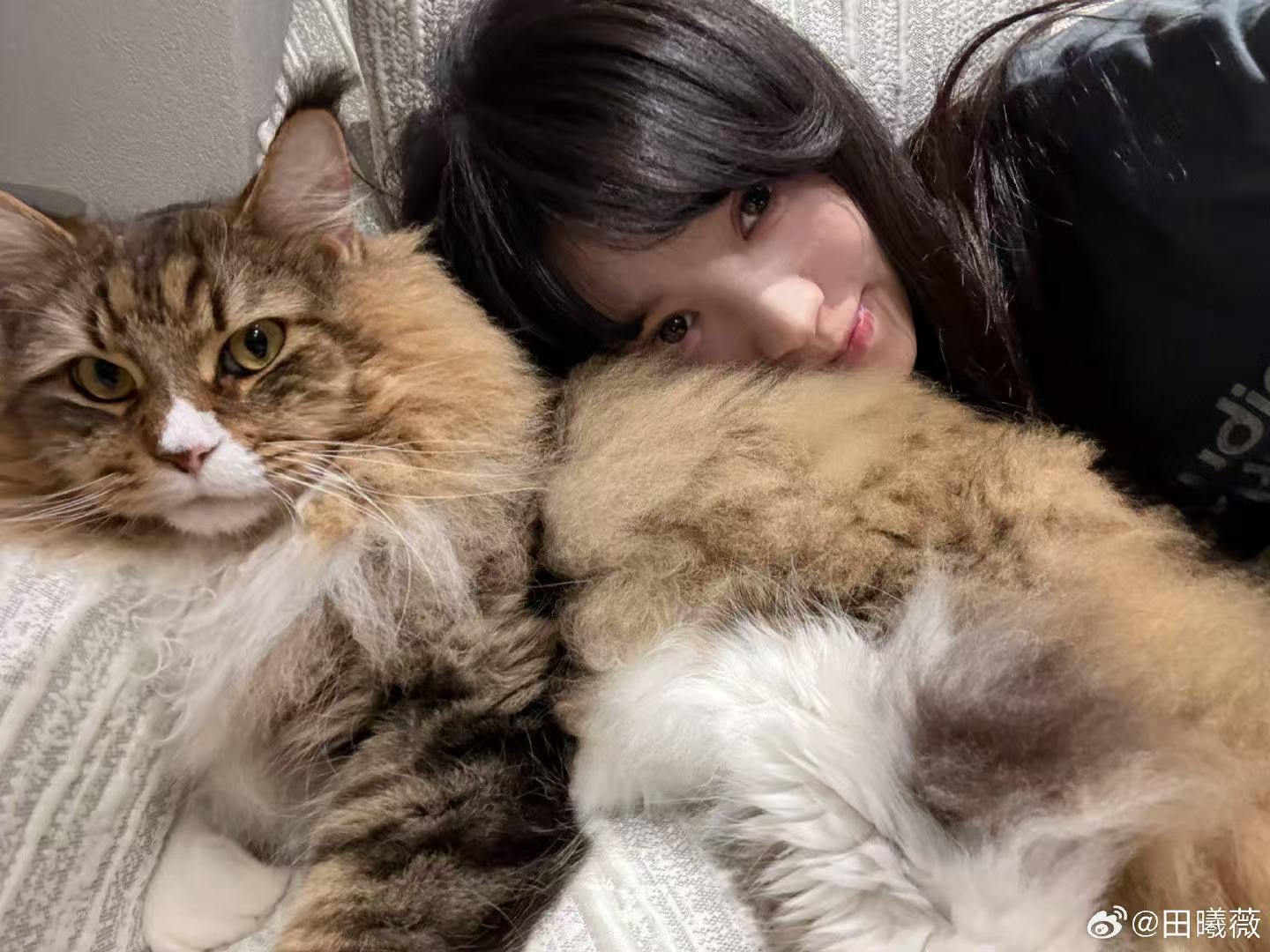 田曦薇拼图日常照田曦薇晒日常plog 田曦薇分享九宫格拼图，好鲜活可爱的日常照，