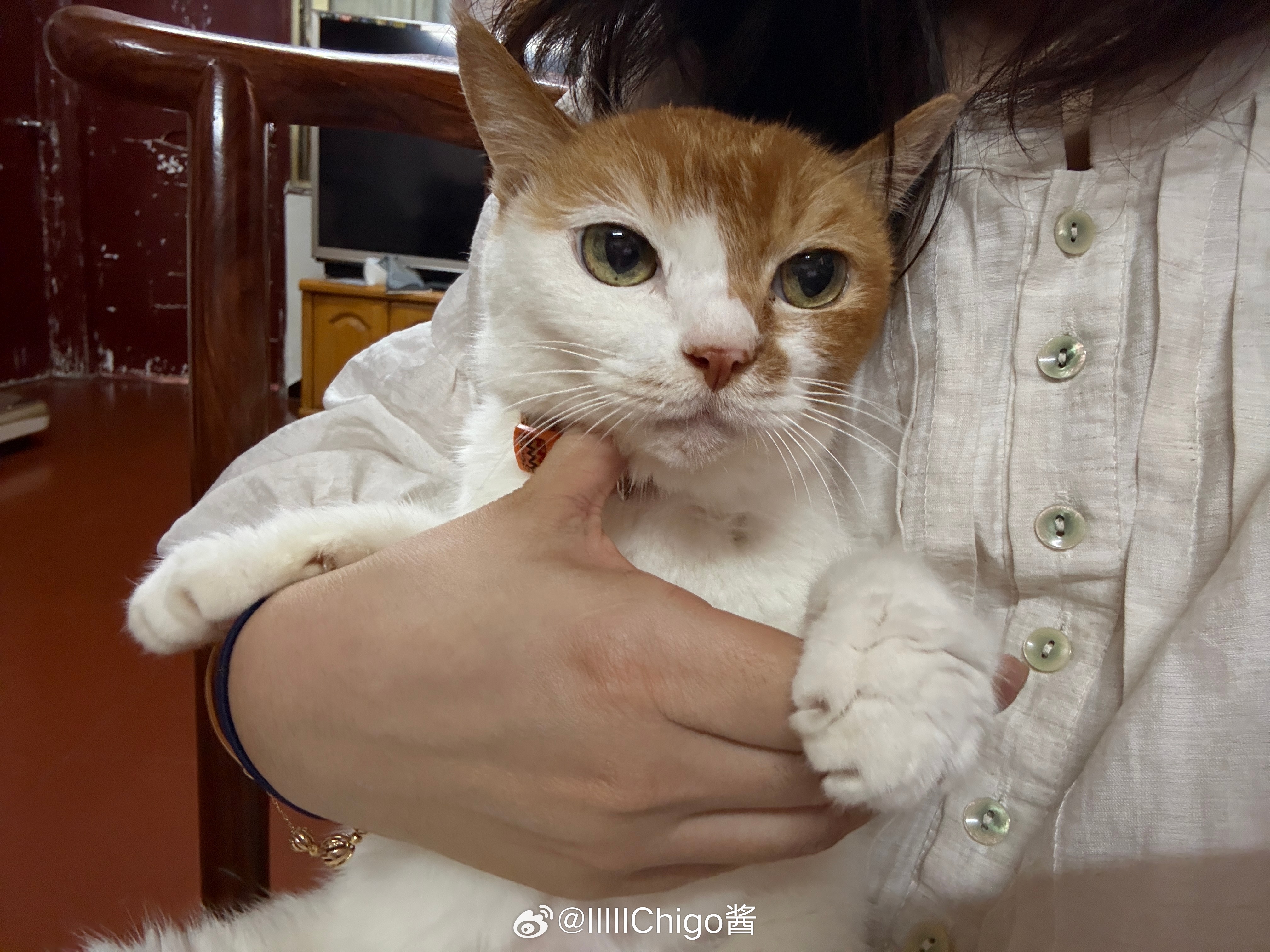 老登mi 我妈每次看到mi就说mi好可怜就是老的可怜 又老又瘦 ​​​