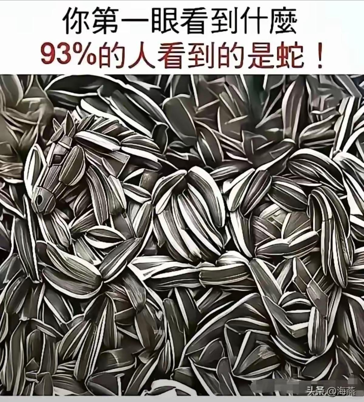 我怎么没看到蛇，我看到的是两个人，右边这个人好像还是本山大叔。