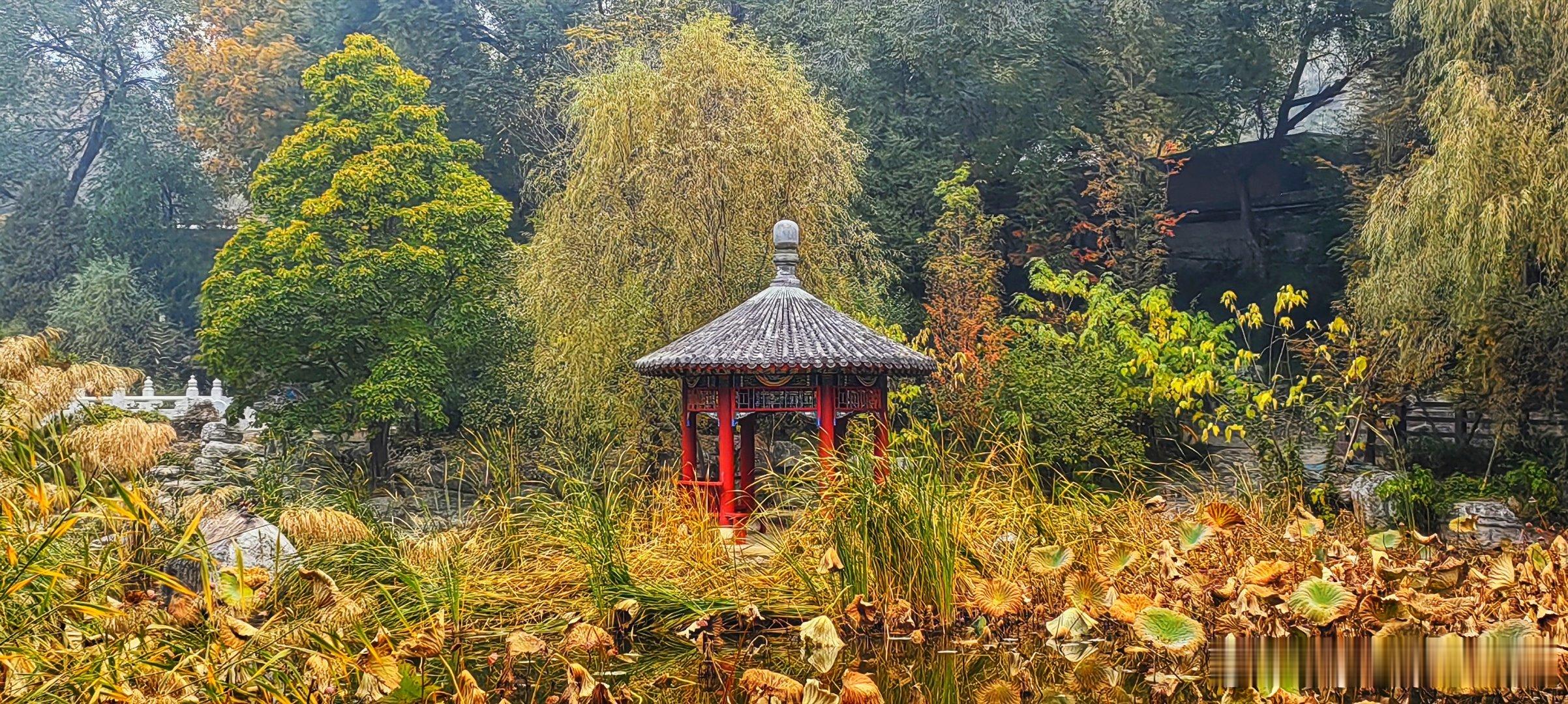 北京八大处公园秋色摄影