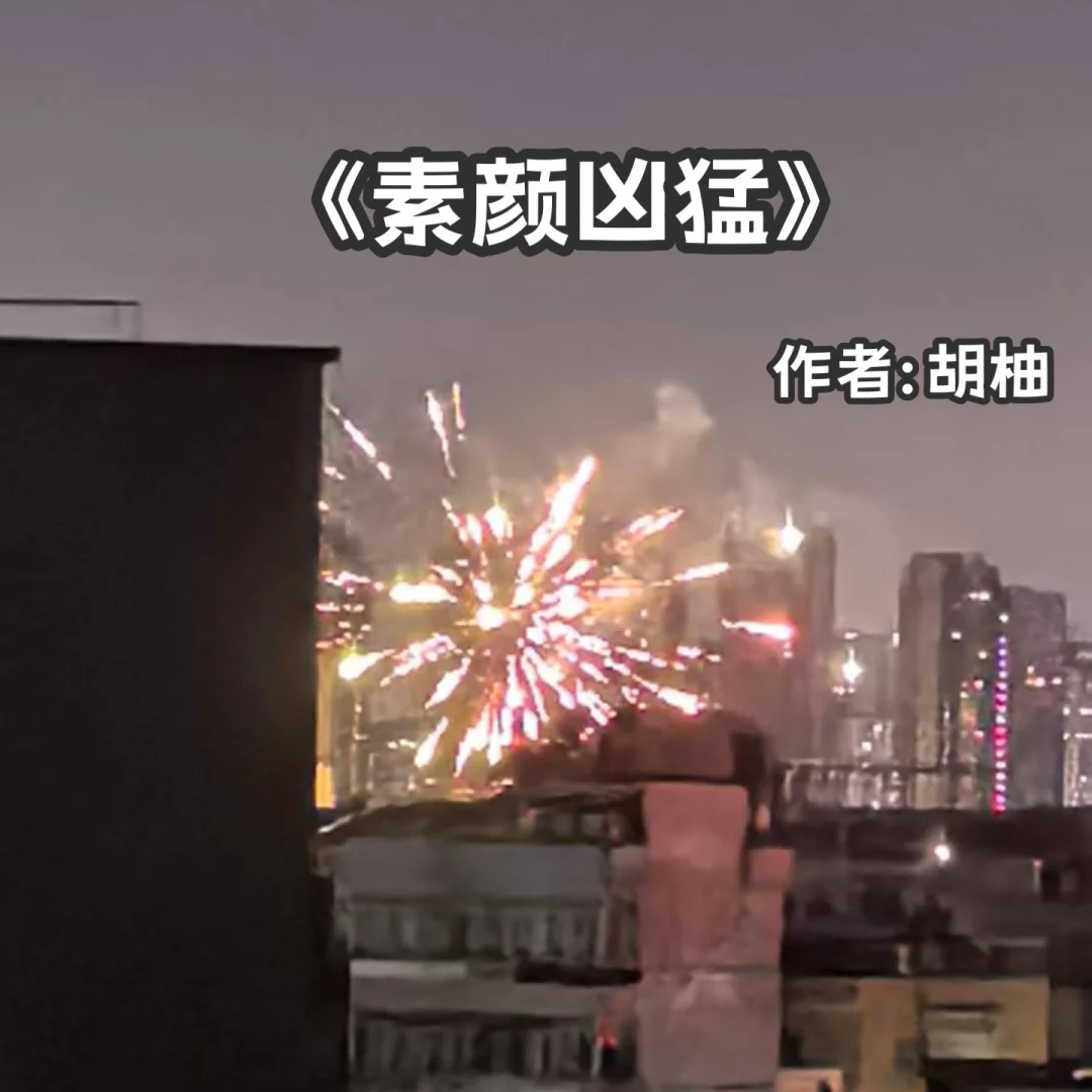 宅家小说｜现实向《素颜凶猛》