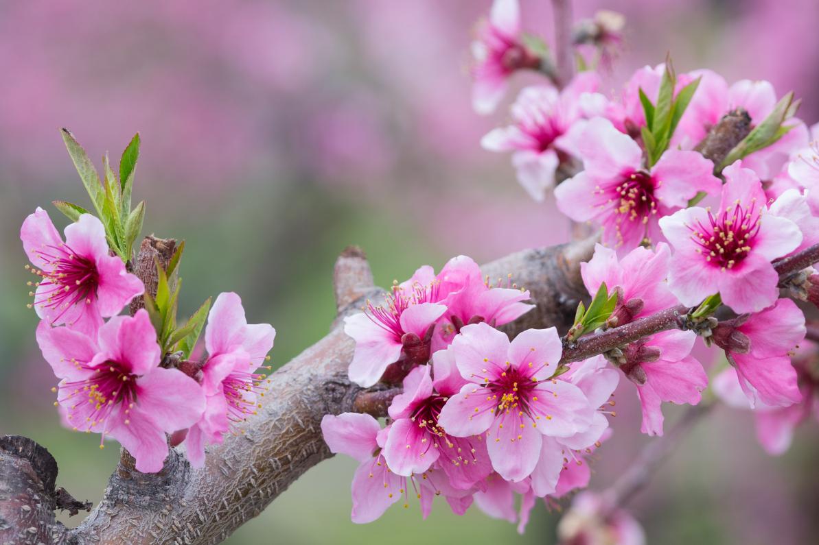 


肌肉就是命根，老年人一定要保存好自己的肌肉！