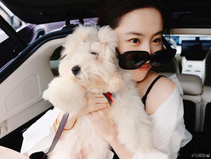 偶遇刘亦菲吃海底捞救命！羡慕哭了！有人在 LA 海底捞碰到刘亦菲，哪怕只是背影，