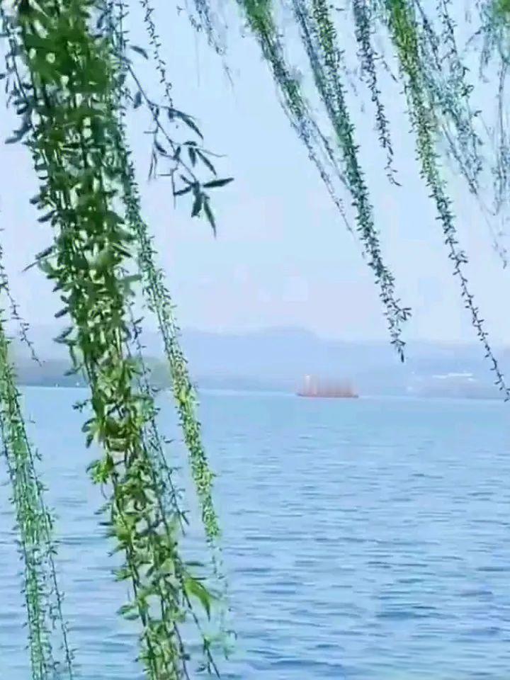 春风胜却帝王骄
漫卷柔丝拂碧霄
才向杏枝轻试吻
又携桃蕊舞纤腰
 
闲渡清溪摇细