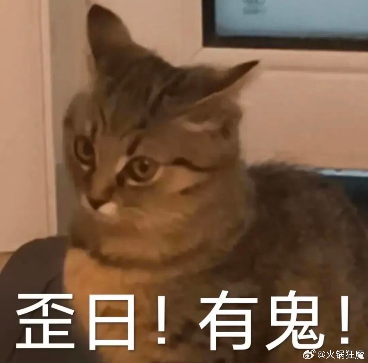 诶，我遗传的不应该是高血压么怎么会持续低血压头痛啊 