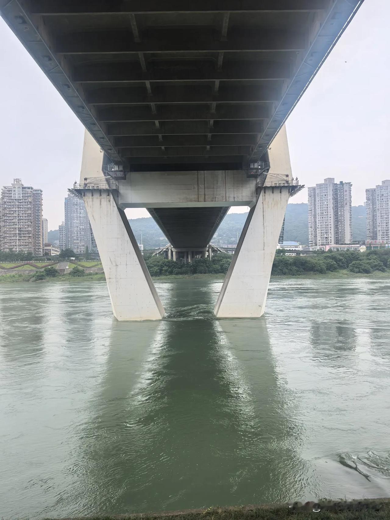 在城市的喧嚣里，桥梁下的静谧河流宛如一方净土。就像草地公园，那里是繁华都市与自然