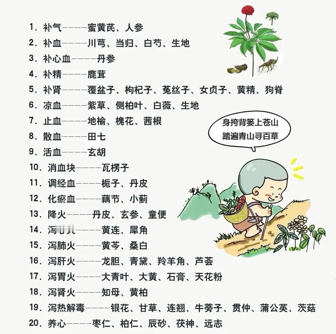 想要了解如何通过草药来调理身体吗？今天博主就带你探索草药的奥秘！

首先，我们需