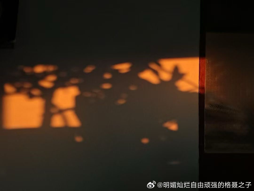 宇宙正将它的光芒，像春天的溪流般注入你的黑暗。 