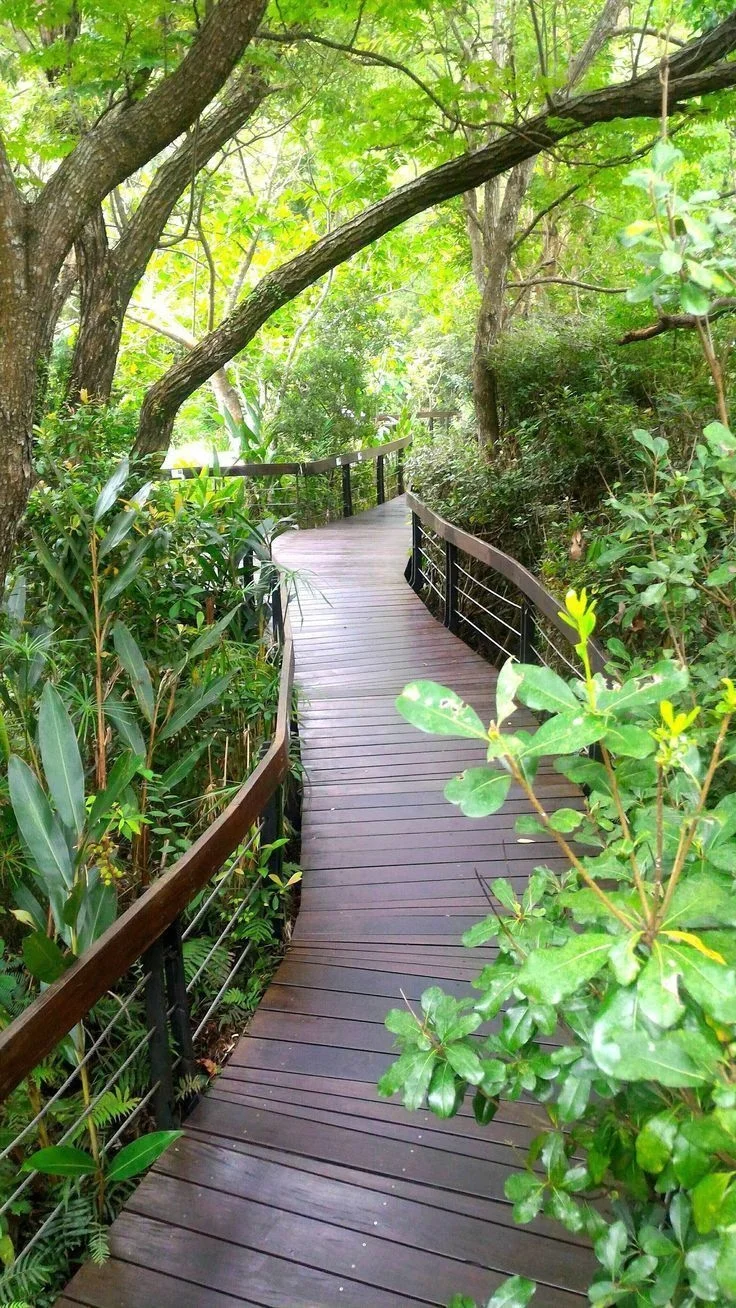 幽静的公园一角