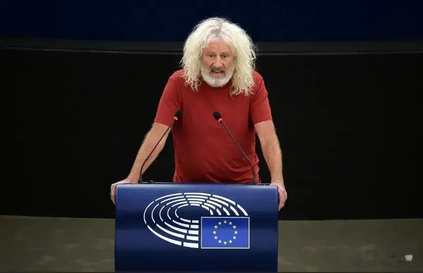 西方国家才是独裁极权？

西方一直标榜自己民主自由，但是欧洲议会议员华莱士和戴利