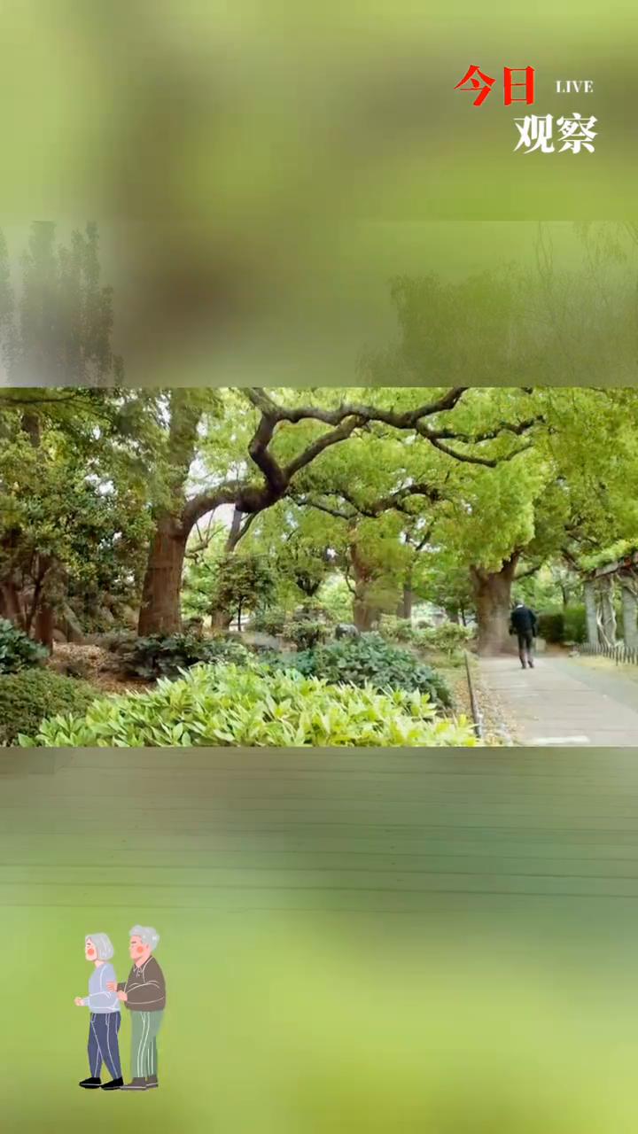 人老最高级的养生是心静，人简生活淡。很多人说人老了就喜欢孤独，其实真的不是。人老