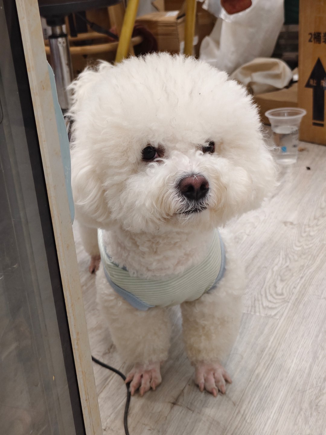 汪汪汪汪汪汪汪汪汪汪汪汪 