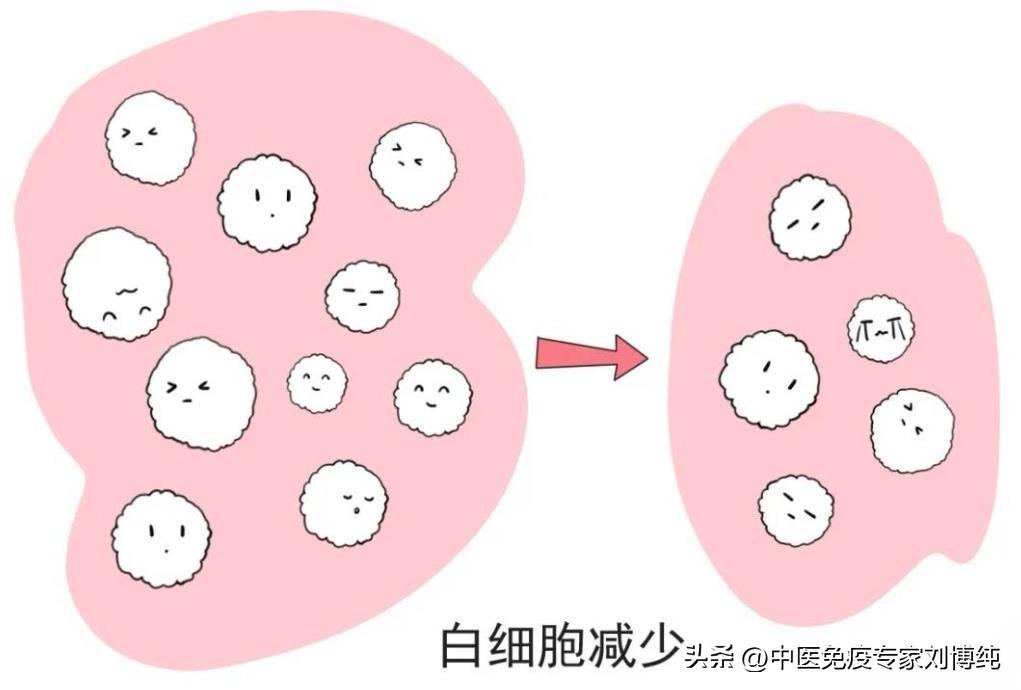 化疗后白细胞低？饮食注意这4点，有积极作用！
大家好，我是中医刘博纯！
白细胞是