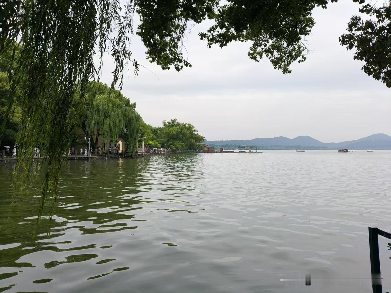 还有不到一个小时，山东高考分数线就要正式公布了，青岛大姐的心也跟着悬了起来。今年