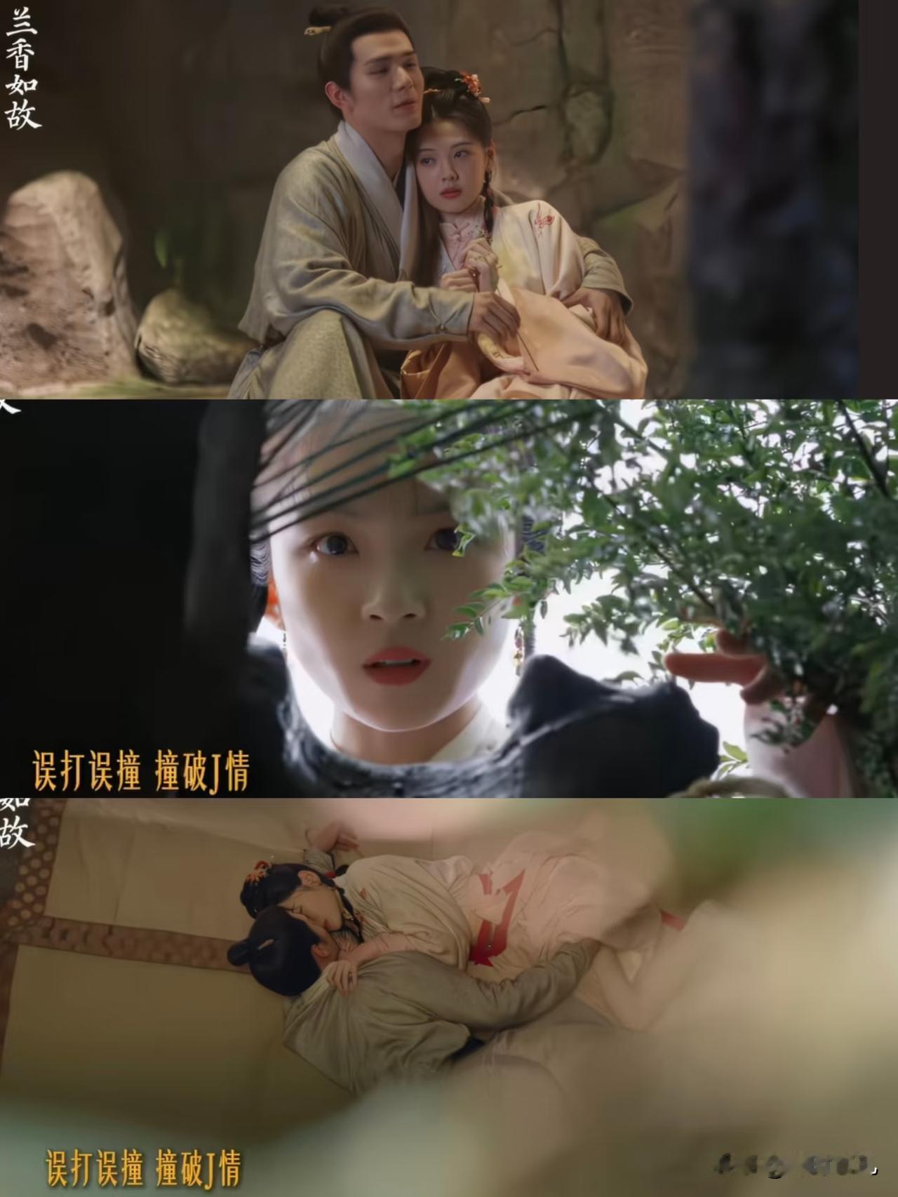 《兰香如故》林绣芄作为二房嫡女，林家二小姐，为何一点应对杀猪盘的脑子都没有？林家