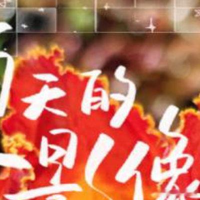 早安 早安 周四~天气终于凉快下来了~早安