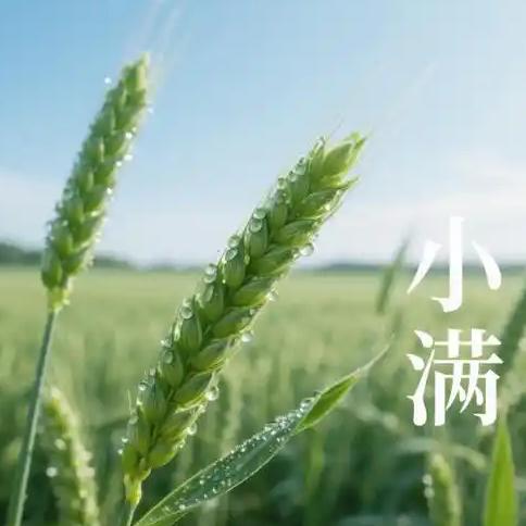5月21日，我们迎来了二十四节气中的小满，这是夏天的第二个节气。《月令七十二候集
