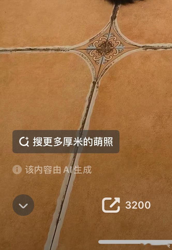 疑似爱猫男孩对厚米的沉重思念 