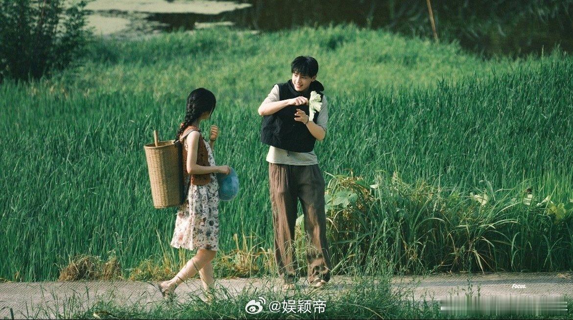 暑期档被说黑马的剧来了 暑期档潜力黑马锁定《小芳》，靠独特题材打出差异化，别家故
