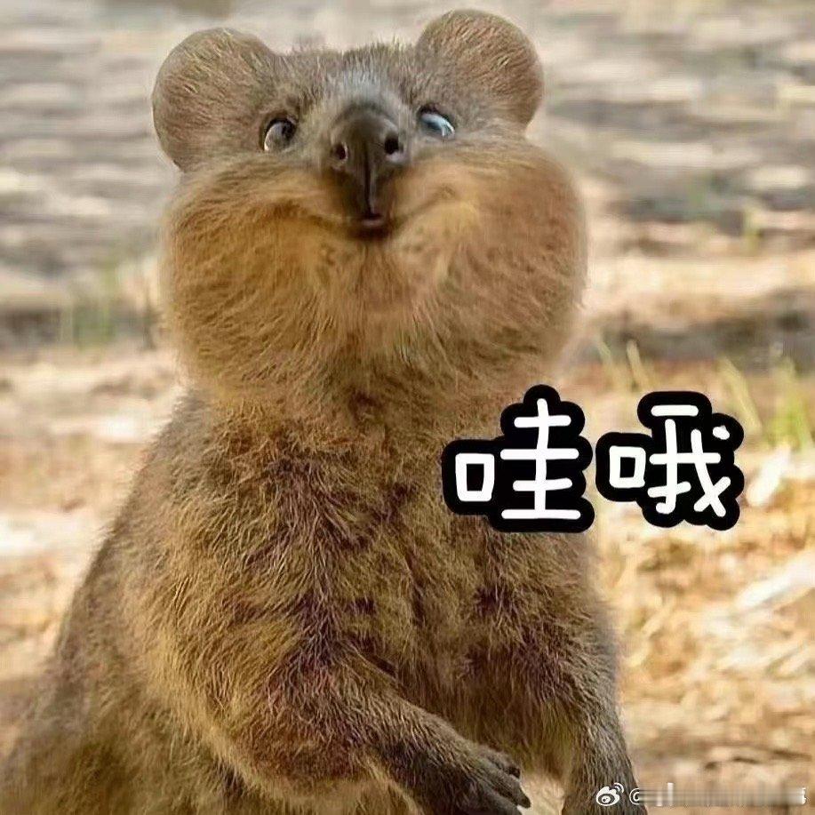 #金价动荡年轻人囤金热度不减#黄金的价格是极其不稳定的，购买的时候还是要仔细考虑