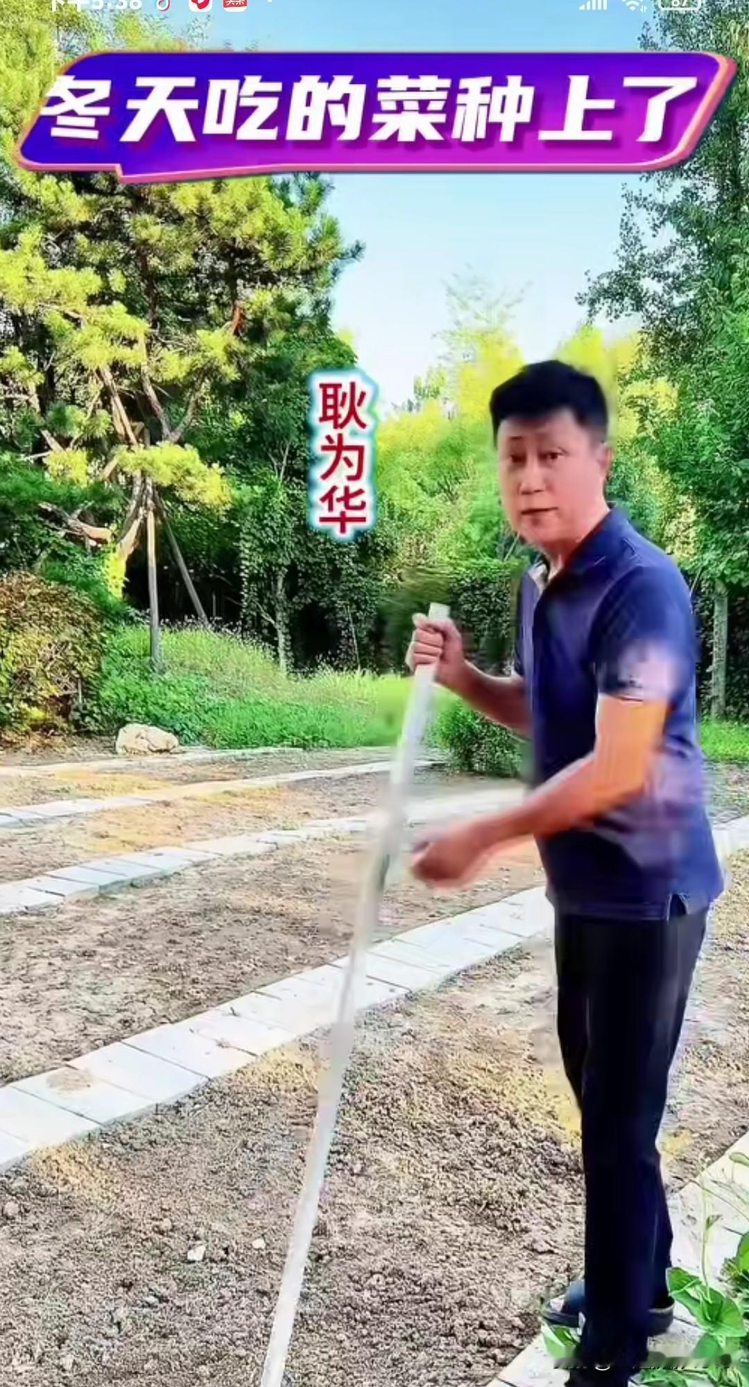 耿为华老师今天在自家大菜园里已经种上了冬天吃的菜， 有大白菜、萝卜，还有雪里红，