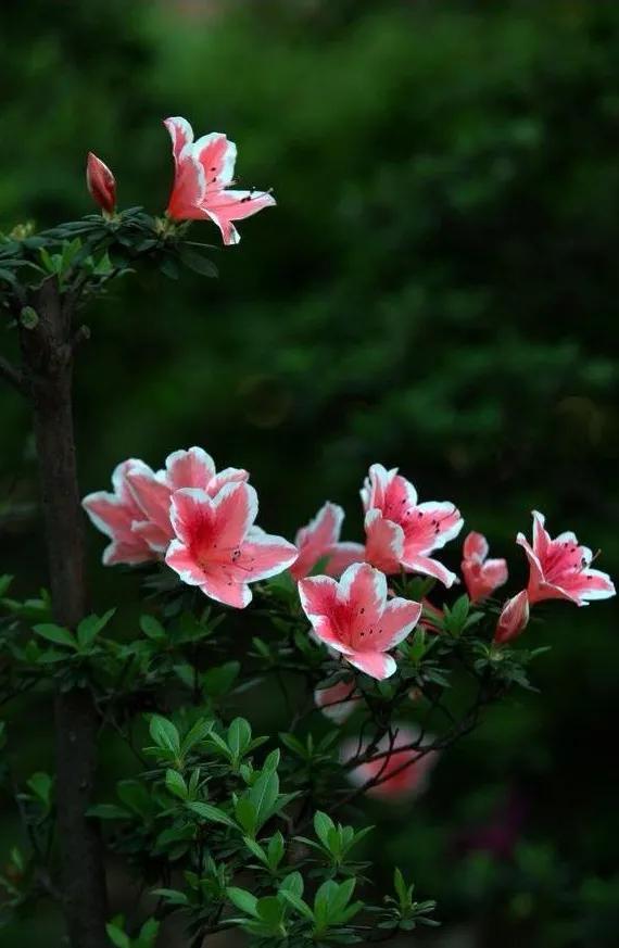 周四盘中突传重磅消息，Token经济有望成为真正的主线！
周四上午，大A结束昨日