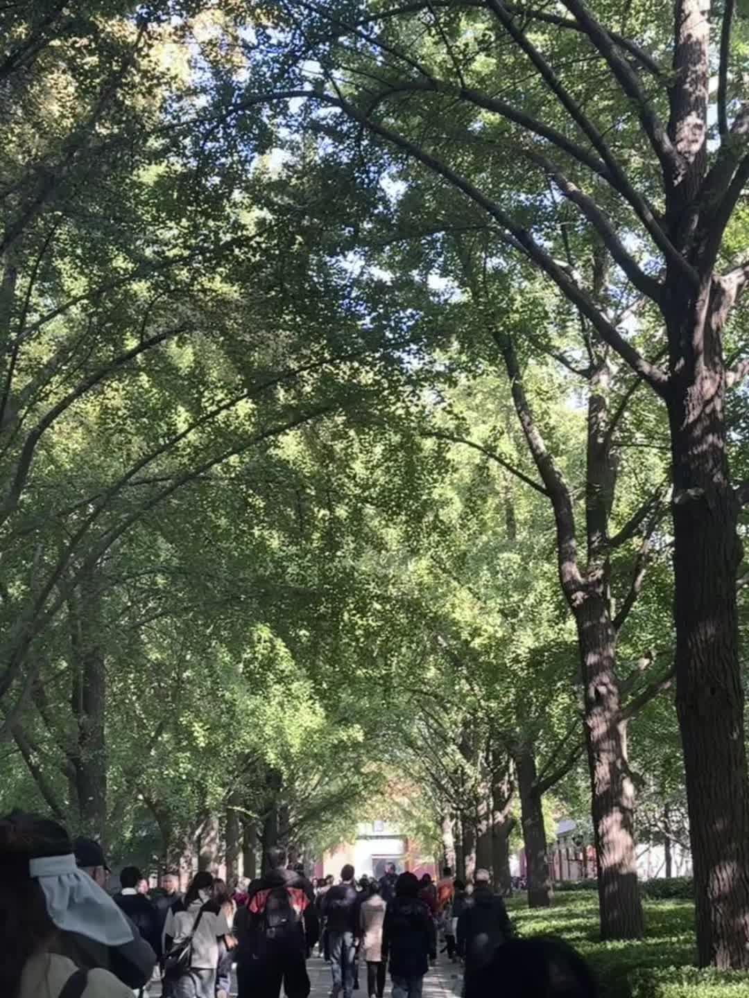 “一方净土，三注清香，愿所求皆所愿，所盼皆所期”愿我们平安喜乐，万事顺遂”