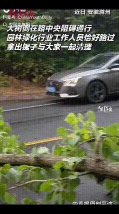 安徽滁州，一棵树倒在了路中央，使得过往车辆无法通行，几位司机下车后正商量着怎么搬