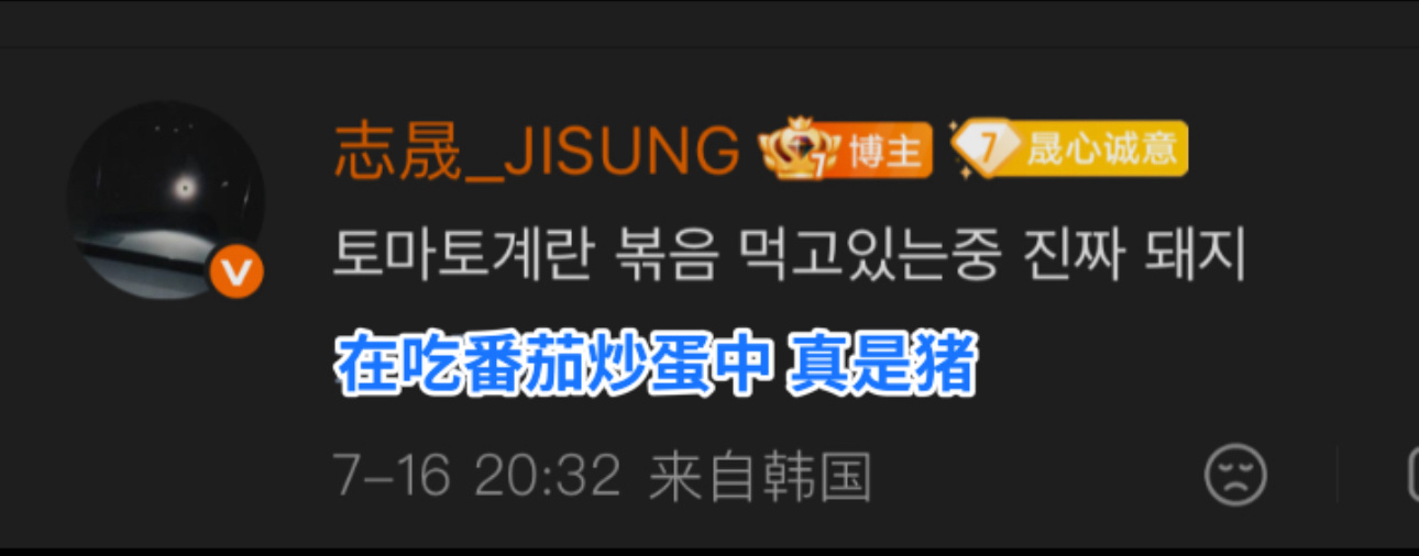 你是我的掌上明猪🐷 