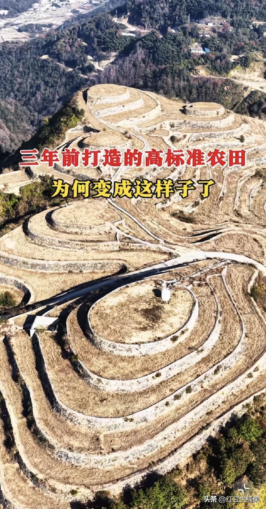 这样荒废真的太可惜了，这么好的高标准农田应该能产出不少粮食吧。
当初建设的时候肯