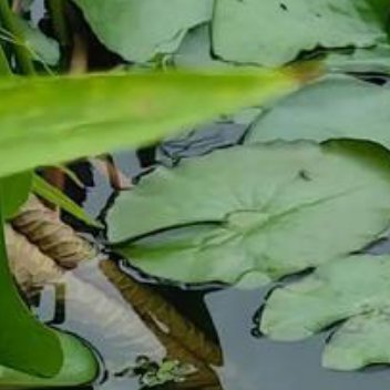 正能量[超话]正能量 我们这一生就是一场修行，在孩子面前修脾气，在父母面前修孝道