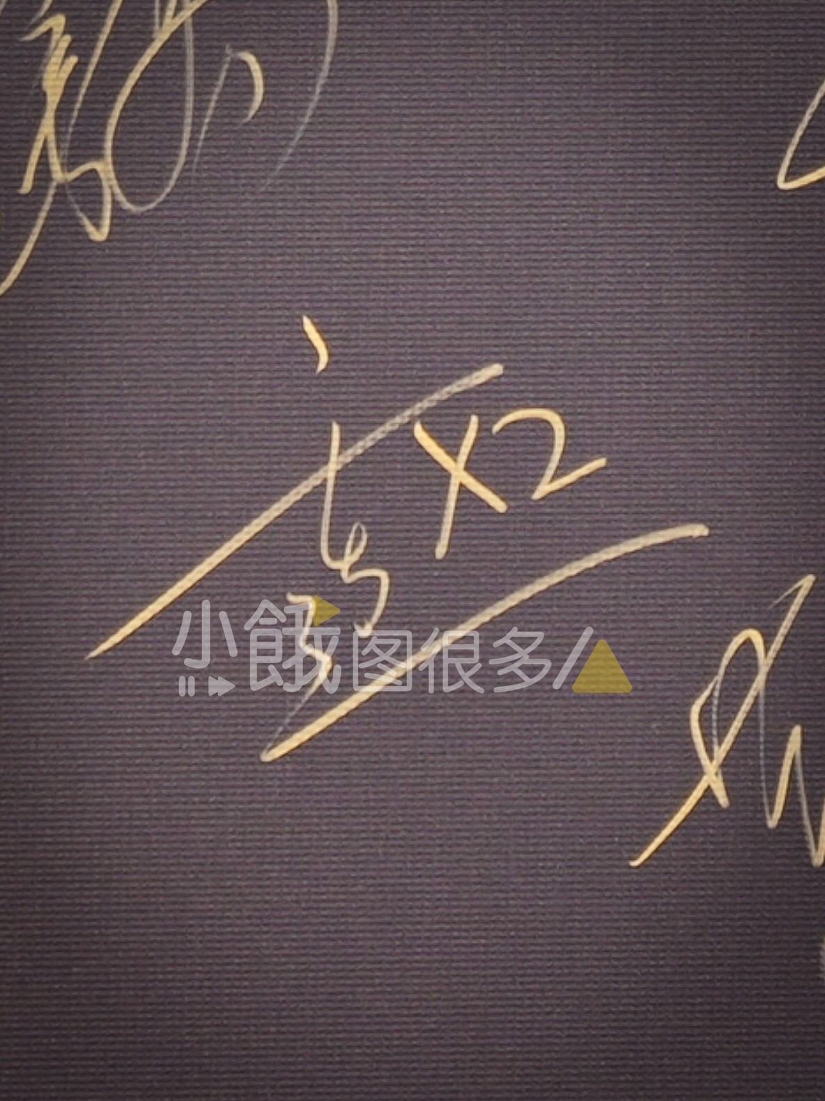 补一张红毯签名板上高清的“于适x2”