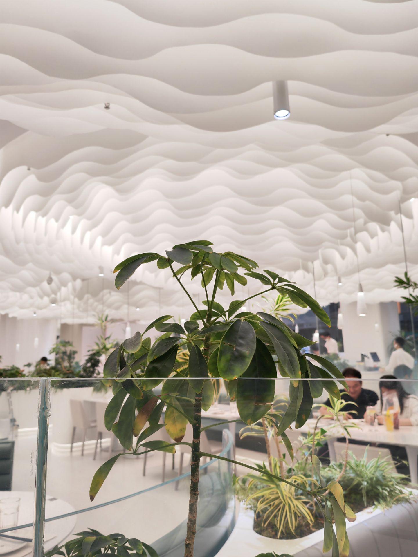 中枢神经系统原发性血管炎(PACNS)