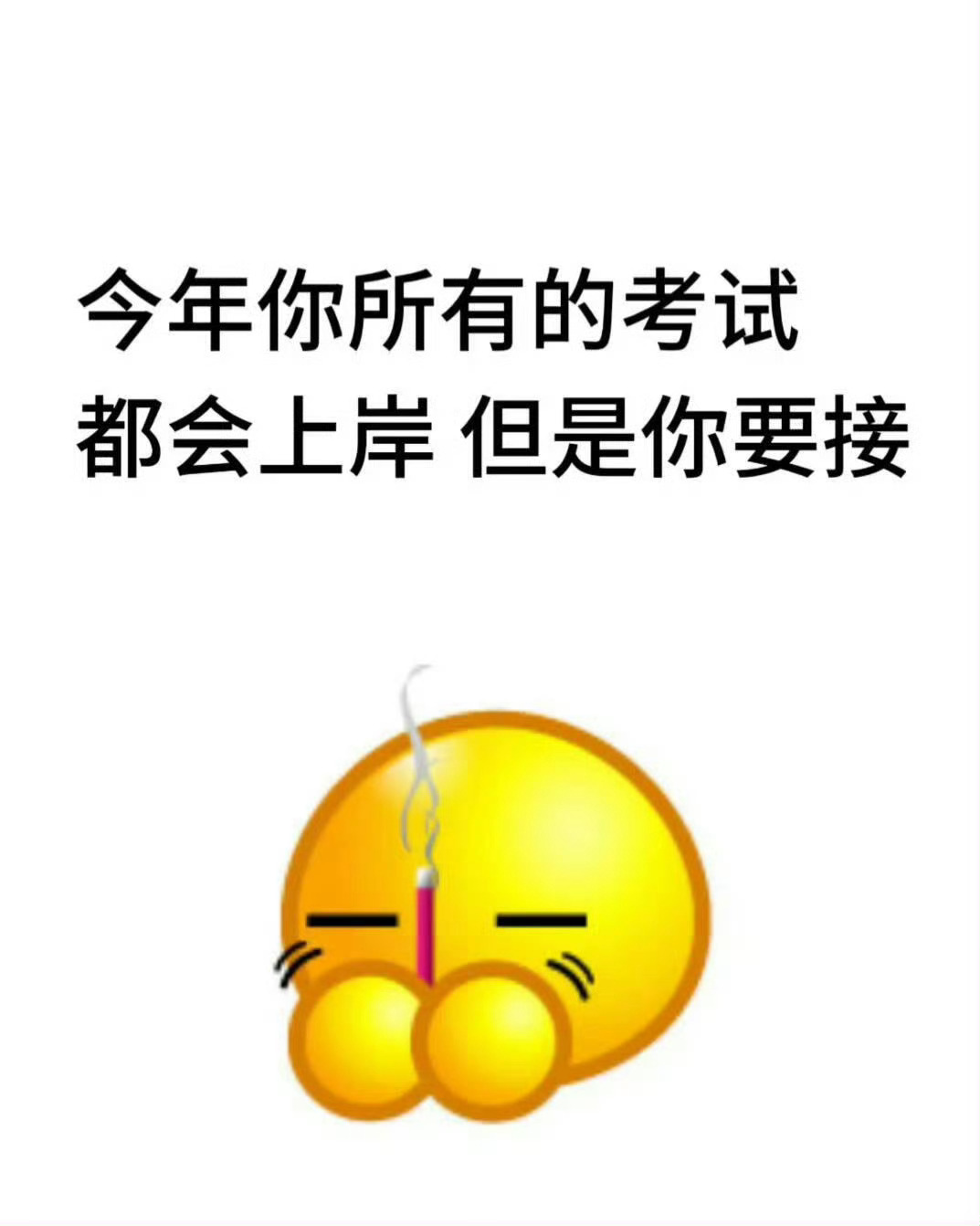 今年你所有的考试都会通过的！ 