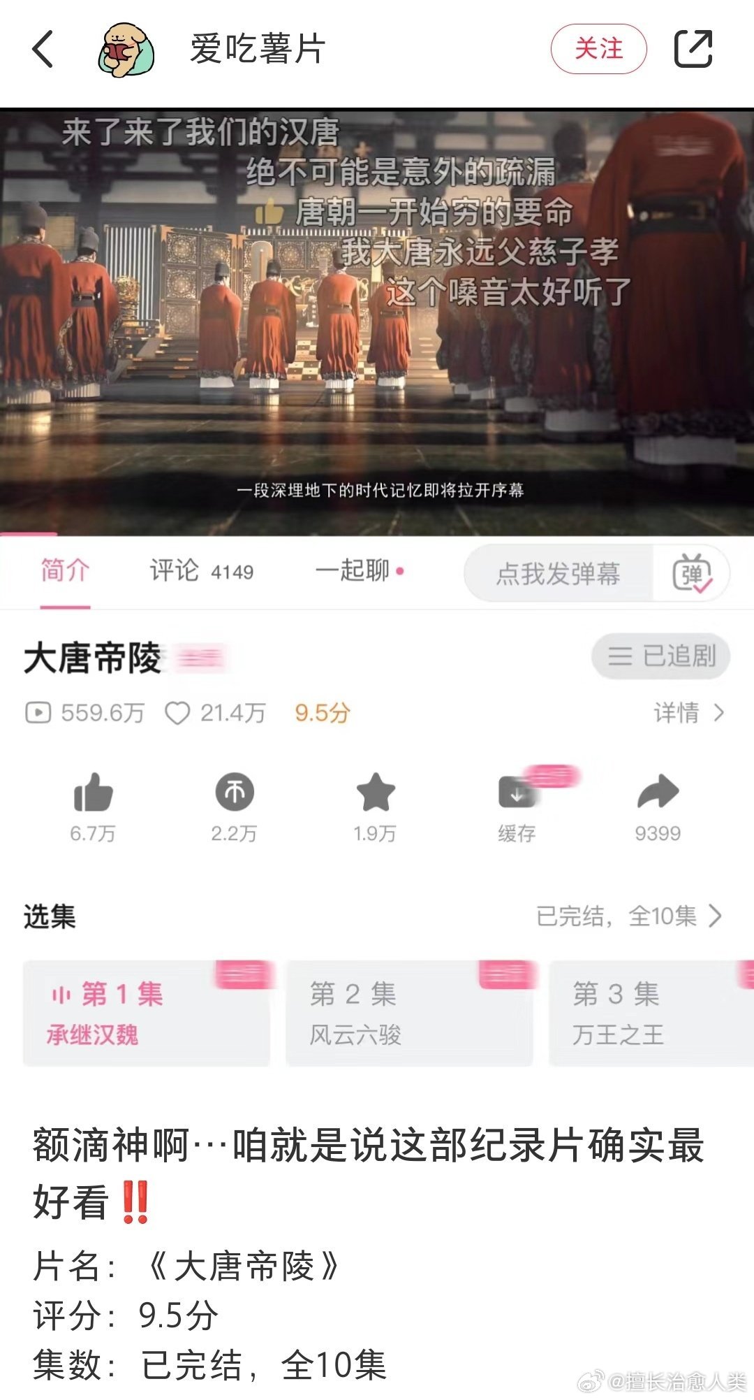 不愧是网友推荐的满分神级纪录片 