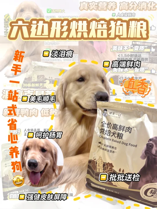 六边形烘焙狗粮，新手一步到位就选它！