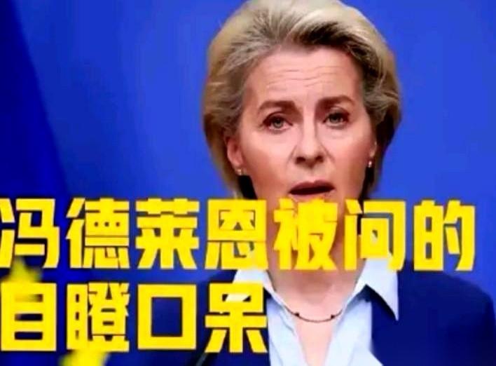 就那个芬兰代表的一句话，整个会场死机了。
冯德莱恩的脸刷一下就红了，愣在那儿装没