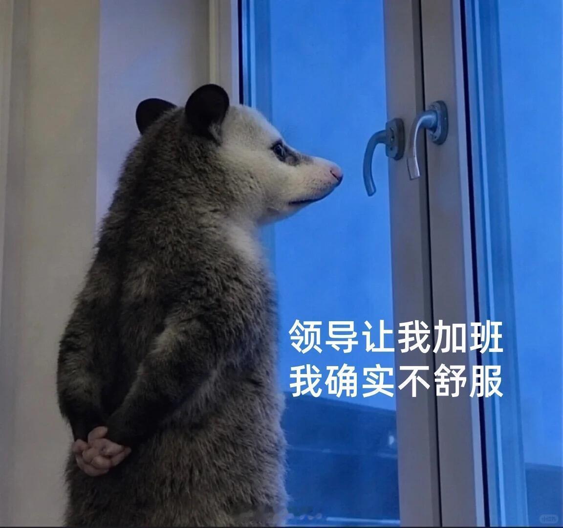 职场里的不舒服文学 