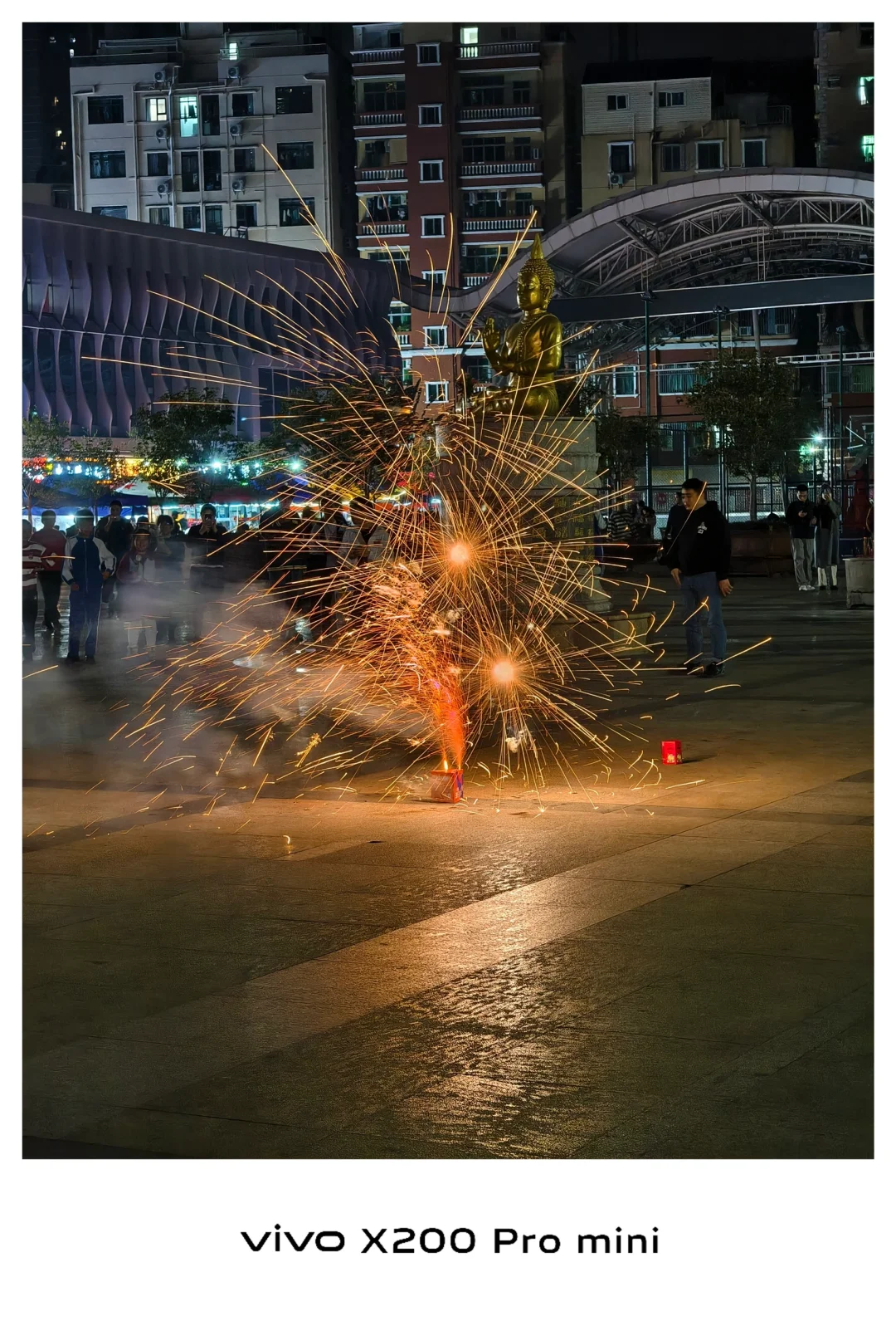 致敬新一年的开始 2025 谢飞飞