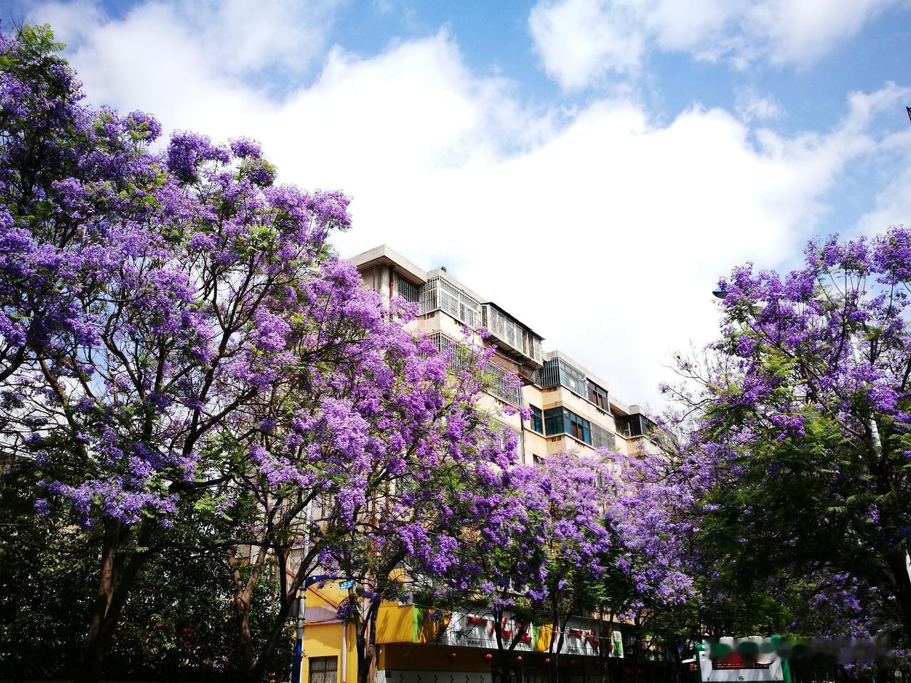 周二盘后传来利好消息，周三仍需留意板块轮动节奏！
周二盘后重磅消息如下：
据媒体