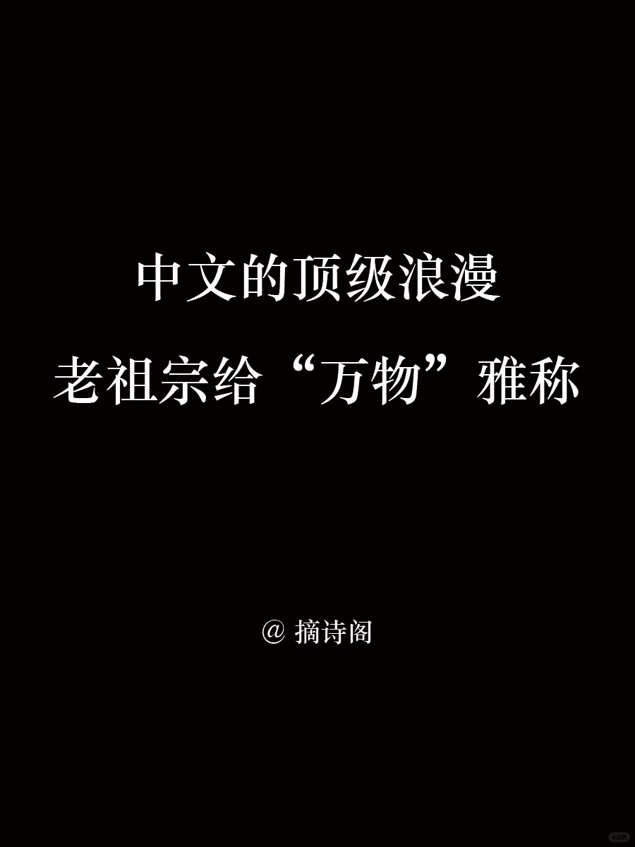 中文的顶级浪漫！老祖宗对“万物”雅称
