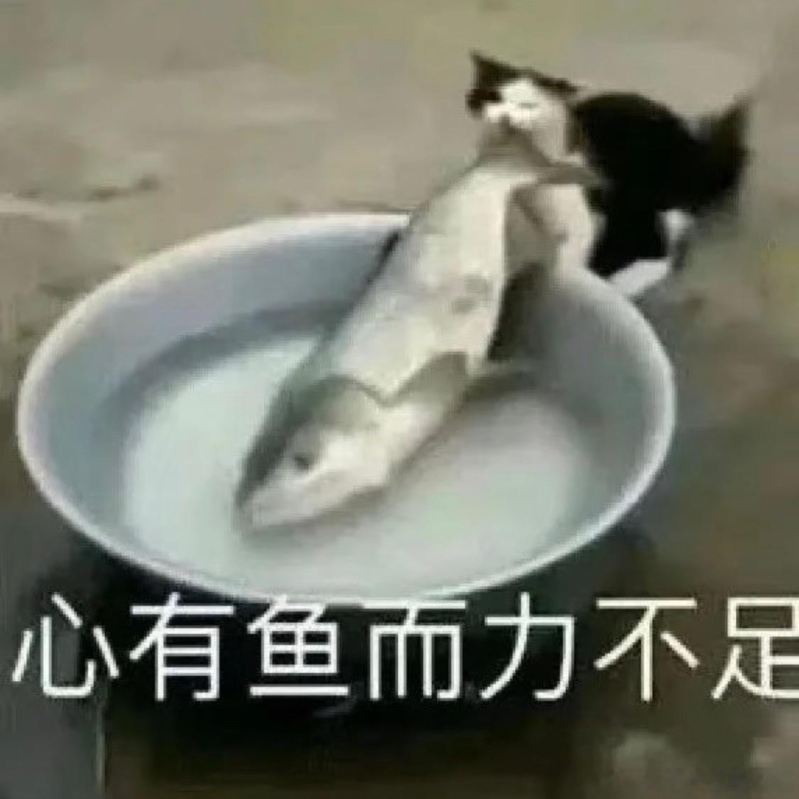 曝大批演员计划开演唱会开不了演唱会的，可以爬山、打高尔夫，带着女性朋友去滑雪，平