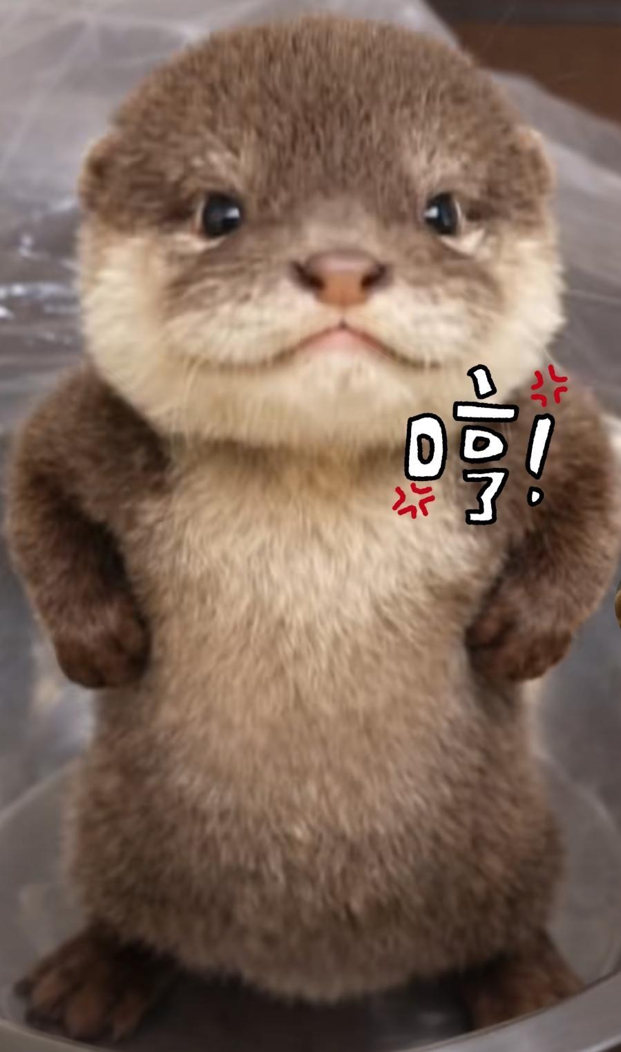 刚刚做了个梦，瞬间就醒了。梦里我国自主生产了十万台适用于各个工业领域的全球顶级超