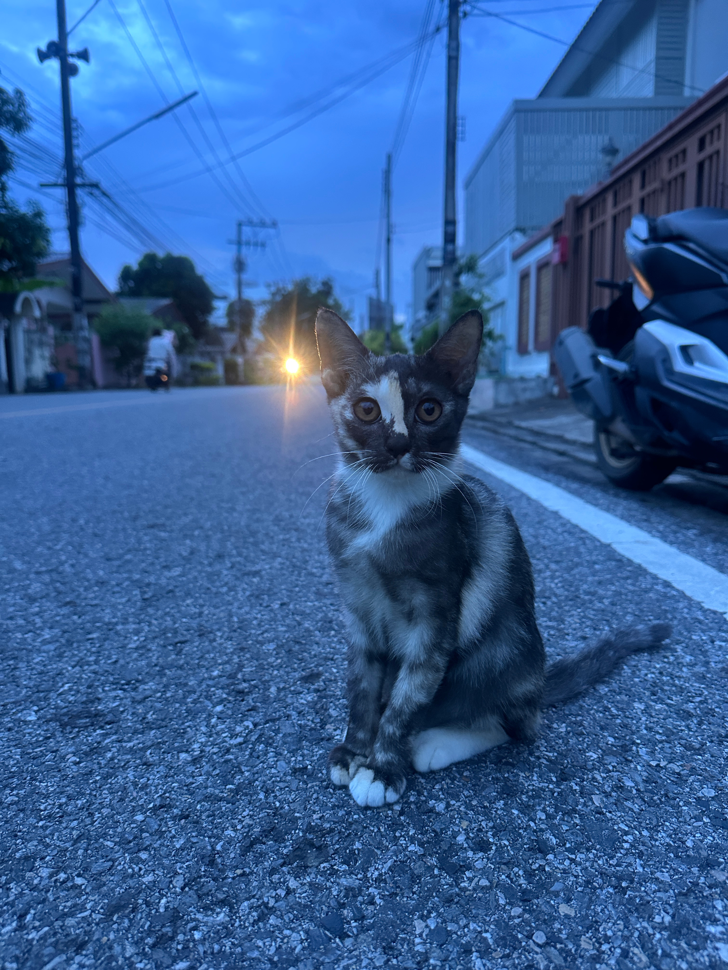 家附近的宝宝，太标致了吧你也！ 