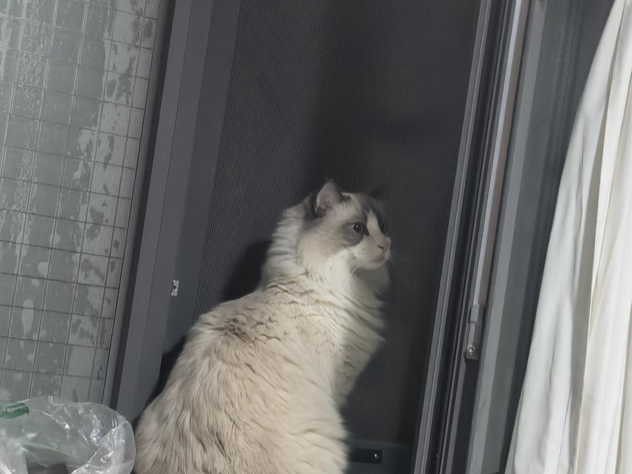 大爷，您是个卖水泥的，找了个大妈却这么漂亮，说说你和大妈的故事吧。"
“我也不知